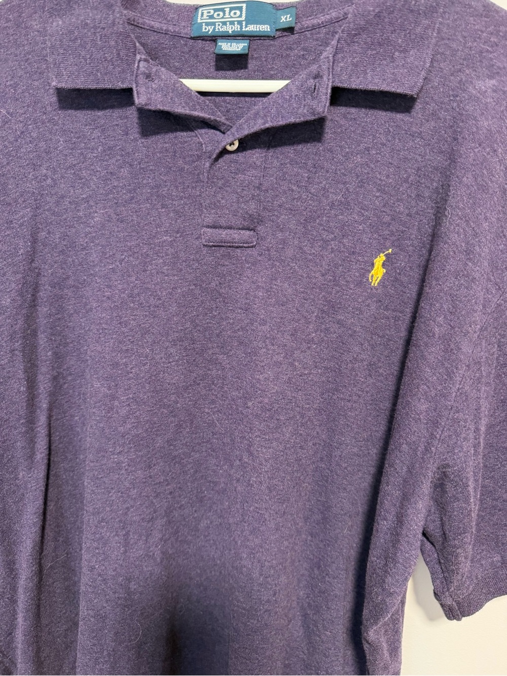 Polo by Ralph Lauren Men's Purple Polo
